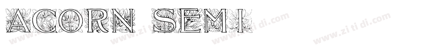Acorn Semi字体转换